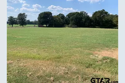 Lot 1 Cr 3605, Bullard, TX 75757 - Photo 4