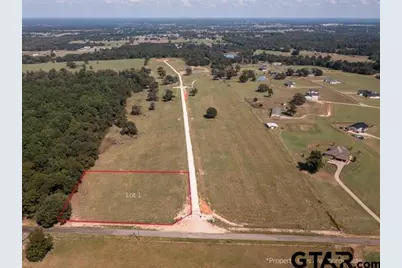 Lot 1 Cr 3605, Bullard, TX 75757 - Photo 2