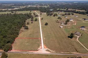 Lot 1 Cr 3605, Bullard, TX 75757 - Photo 2