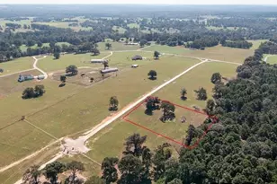 Lot 9 Cr 3605, Bullard, TX 75757 - Photo 6