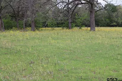 Tbd Rs County Road 2365, Alba, TX 75410 - Photo 8