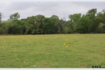 Tbd Rs County Road 2365, Alba, TX 75410 - Photo 12