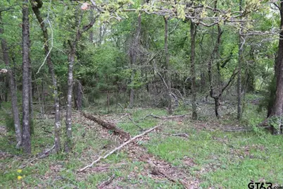Tbd Rs County Road 2365, Alba, TX 75410 - Photo 20