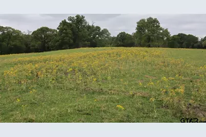 Tbd Rs County Road 2365, Alba, TX 75410 - Photo 18