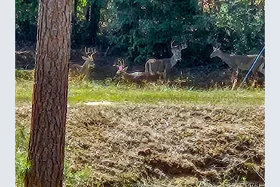 4491 S Fm 2869, Hawkins, TX 75765 - Photo 34