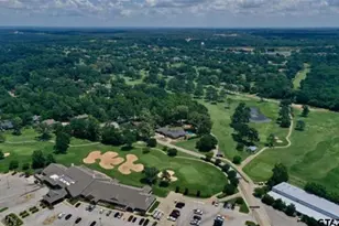 127 Birdie Ln, Hideaway, TX 75771 - Photo 42