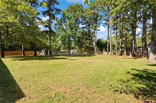 16691 S Lakeview Dr, Troup, TX 75789 - Photo 46