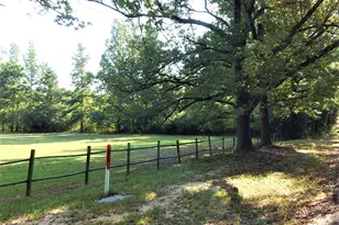 1801 Co Rd 4420, Winnsboro, TX 75494 - Photo 40