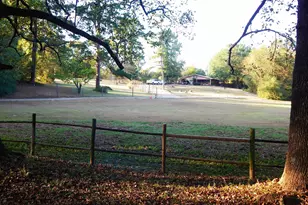 1801 Co Rd 4420, Winnsboro, TX 75494 - Photo 36