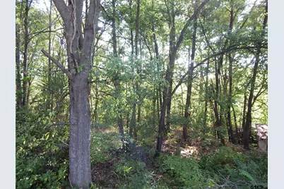 1801 Cr 4420, Winnsboro, TX 75494 - Photo 34