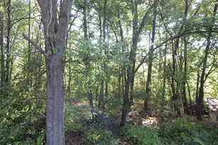 1801 Co Rd 4420, Winnsboro, TX 75494 - Photo 34