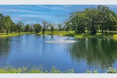 16138 Cr 192, Tyler, TX 75703 - Photo 6