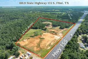 18021 S State Hwy 155, Flint, TX 75762 - Photo 1