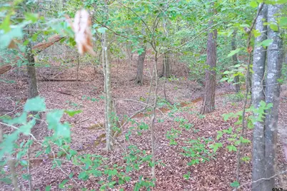 Tbd Bob O Link Rd., Gladewater, TX 75645 - Photo 4