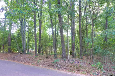 Tbd Bob O Link Rd., Gladewater, TX 75645 - Photo 6