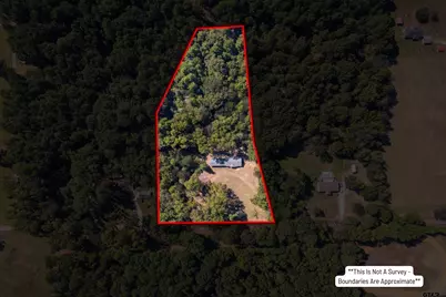 4890 County Road 4875, Pittsburg, TX 75686 - Photo 2
