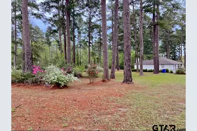 116 Lakeview Drive, Grapeland, TX 75844 - Photo 36