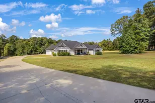 256 County Rd 4925, Troup, TX 75789 - Photo 4