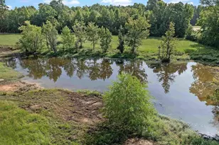 6006 St Hwy 315, Long Branch, TX 75669 - Photo 2