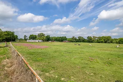 1393 County Road 4940, Quitman, TX 75783 - Photo 4