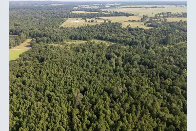 17288 Cr 399, Winona, TX 75792 - Photo 8