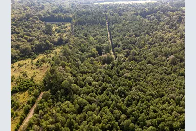 17288 Cr 399, Winona, TX 75792 - Photo 6