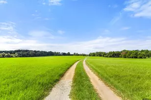 1147 N Fm 346, Bullard, TX 75757 - Photo 8