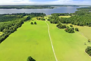 1147 N Fm 346, Bullard, TX 75757 - Photo 4