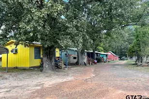 8880 Fm 729, Avinger, TX 75630 - Photo 10