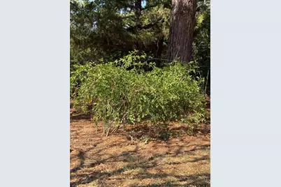 205 Cr 1820, Grapeland, TX 75844 - Photo 28
