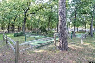 331 Bent Horseshoe Ln, Holly Lake Ranch, TX 75765 - Photo 42