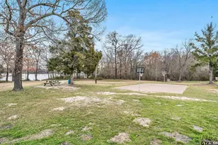 125 Ridgewood Ln, Murchison, TX 75778 - Photo 44