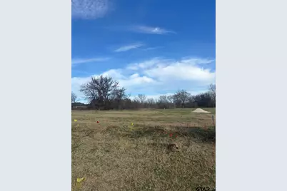 3159 Club Dr, Tyler, TX 75703 - Photo 2