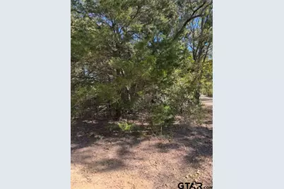 0 Cr 1514, Van, TX 75790 - Photo 2