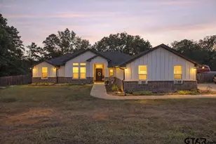 20491 Hwy 110 S, Troup, TX 75789 - Photo 2