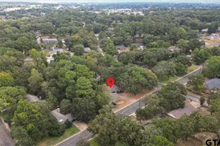 10926 Mosswood Dr, Tyler, TX 75703 - Photo 38