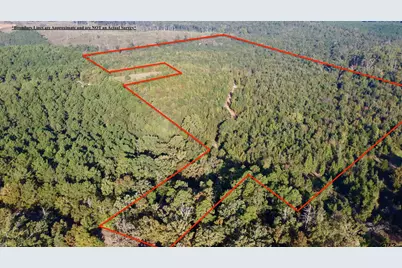 Tbd Cr 1579-1, Avinger, TX 75630 - Photo 4