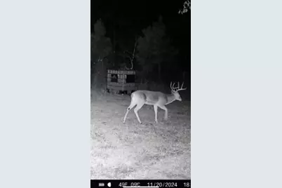 Tbd Cr 1579-1, Avinger, TX 75630 - Photo 16