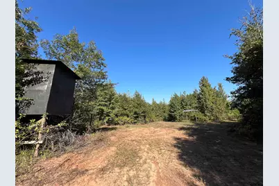 Tbd Cr 1579-1, Avinger, TX 75630 - Photo 1