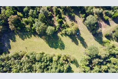 Tbd Cr 1579-2, Avinger, TX 75630 - Photo 1