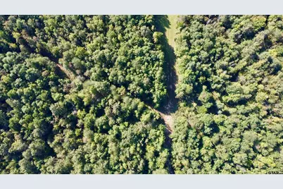 Tbd Cr 1579-2, Avinger, TX 75630 - Photo 4