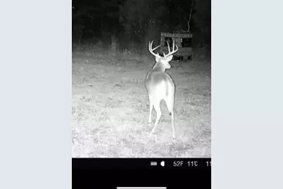 Tbd Cr 1579-2, Avinger, TX 75630 - Photo 16