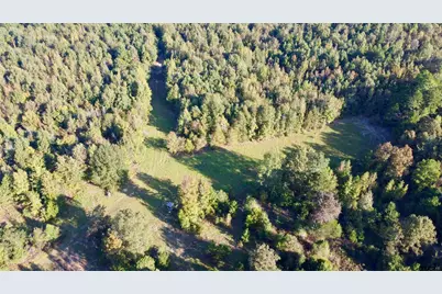 Tbd Cr 1579-2, Avinger, TX 75630 - Photo 6