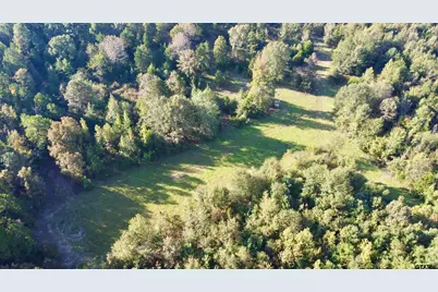 Tbd Cr 1579-2, Avinger, TX 75630 - Photo 10