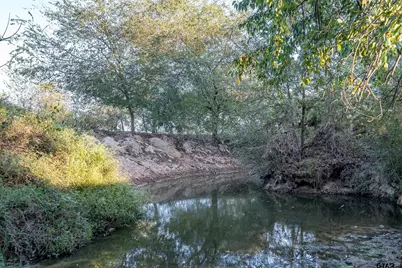 5081 Hwy 154, Yantis, TX 75497 - Photo 6