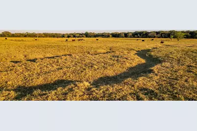5081 Hwy 154, Yantis, TX 75497 - Photo 10