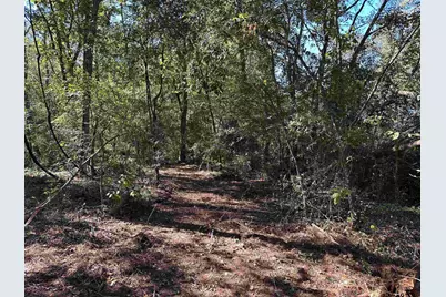 Tbd Cr 1318, Rusk, TX 75785 - Photo 14