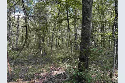 Tbd Cr 1318, Rusk, TX 75785 - Photo 6