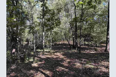 Tbd Cr 1318, Rusk, TX 75785 - Photo 16