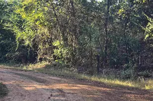 Tbd Cr 2864/Off Rd, Hughes Springs, TX 75656 - Photo 10